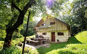 Miha Lodge - Mihcevo Plece