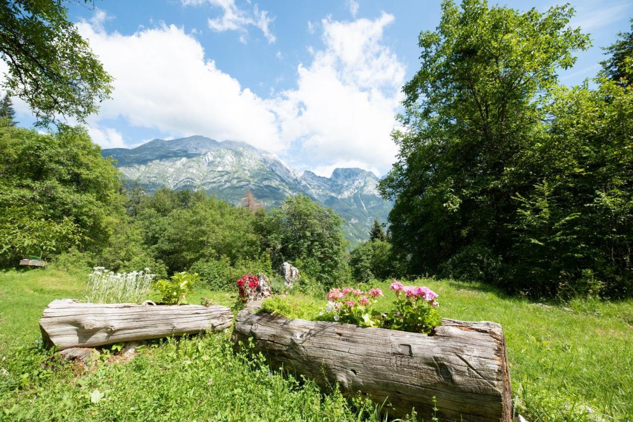Miha Lodge - Mihcevo Plece Soča Exteriér fotografie